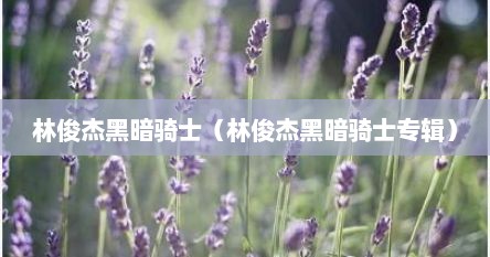 林俊杰黑暗骑士（林俊杰黑暗骑士专辑）