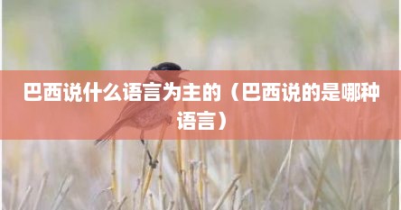 巴西说什么语言为主的（巴西说的是哪种语言）