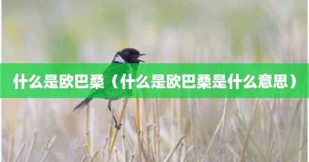 什么是欧巴桑（什么是欧巴桑是什么意思）