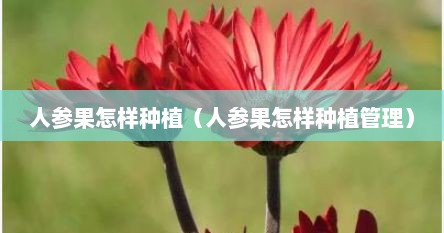 人参果怎样种植（人参果怎样种植管理）