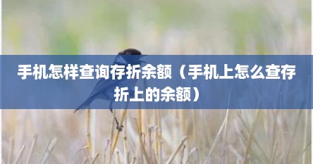 手机怎样查询存折余额（手机上怎么查存折上的余额）