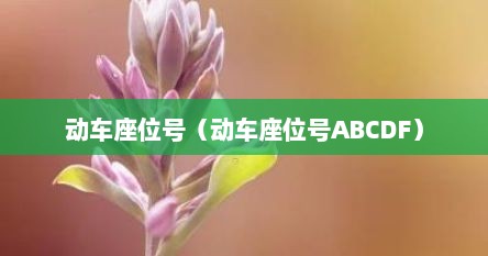 动车座位号（动车座位号ABCDF分布图）
