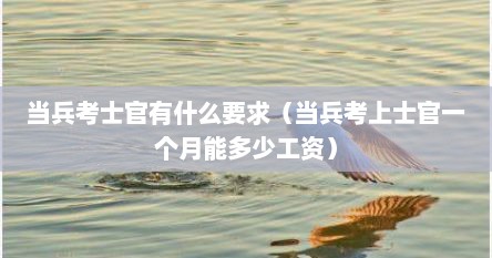 当兵考士官有什么要求（当兵考上士官一个月能多少工资）