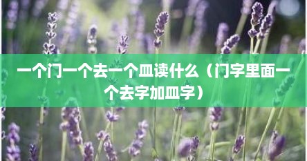 一个门一个去一个皿读什么（门字里面一个去字加皿字）