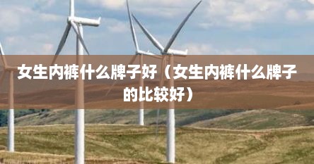 女生内裤什么牌子好（女生内裤什么牌子的比较好）