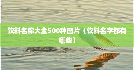 饮料名称大全500种图片（饮料名字都有哪些）