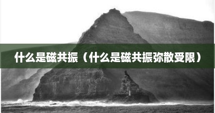 什么是磁共振（什么是磁共振弥散受限）