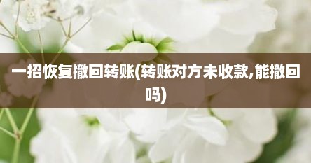 一招恢复撤回转账(转账对方未收款,能撤回吗)