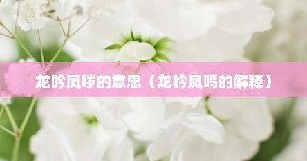 龙吟凤哕的意思（龙吟凤鸣的解释）