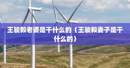 王骏毅老婆是干什么的(王骏毅妻子是干什么的) 王骏毅老婆是干什么的(王骏毅妻子是干什么的)