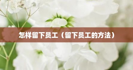 怎样留下员工（留下员工的方法）