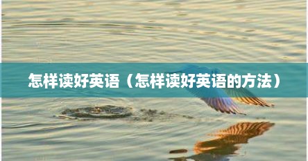 怎样读好英语（怎样读好英语的方法）