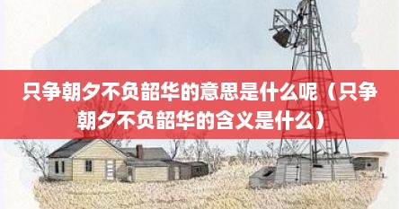 只争朝夕不负韶华的意思是什么呢(只争朝夕不负韶华的含义是什么)