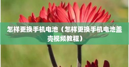 怎样更换手机电池（怎样更换手机电池盖壳视频教程）