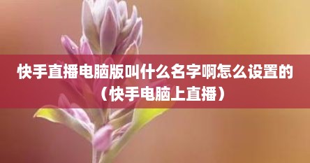 快手直播电脑版叫什么名字啊怎么设置的（快手电脑上直播）