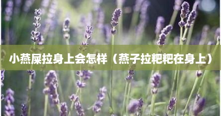 小燕屎拉身上会怎样（燕子拉粑粑在身上）