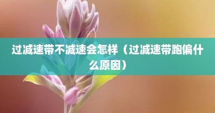 过减速带不减速会怎样（过减速带跑偏什么原因）