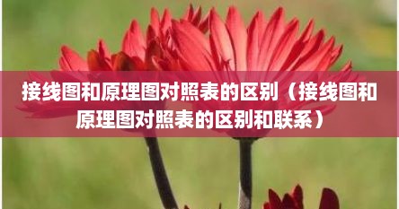 接线图和原理图对照表的区别（接线图和原理图对照表的区别和联系）