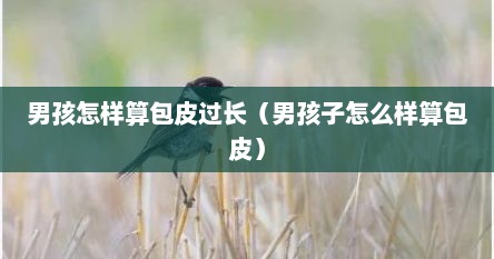 男孩怎样算包皮过长（男孩子怎么样算包皮）