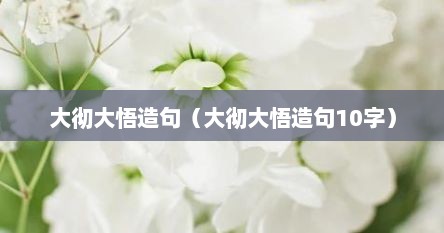 大彻大悟造句（大彻大悟造句10字）