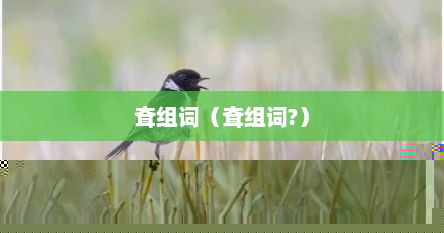 耷组词（耷组词?）