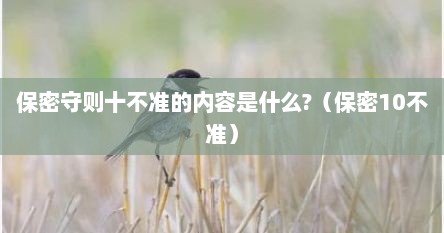 保密守则十不准的内容是什么?（保密10不准）