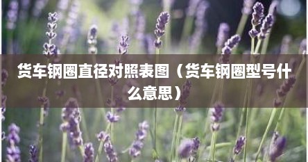 货车钢圈直径对照表图（货车钢圈型号什么意思）