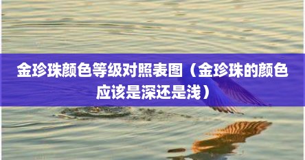 金珍珠颜色等级对照表图（金珍珠的颜色应该是深还是浅）