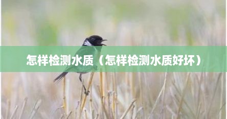 怎样检测水质（怎样检测水质好坏）