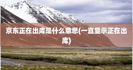 京东正在出库是什么意思(一直显示正在出库)