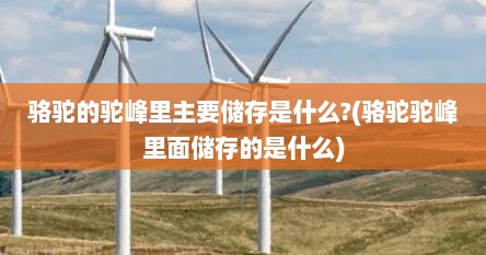 骆驼的驼峰里主要储存是什么?(骆驼驼峰里面储存的是什么)