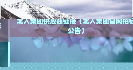 北人集团在哪里（北人集团公告）