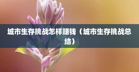 城市生存挑战怎样赚钱（城市生存挑战总结）