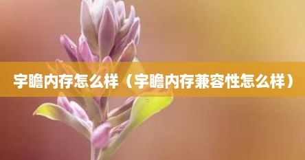 宇瞻内存怎么样（宇瞻内存兼容性怎么样）