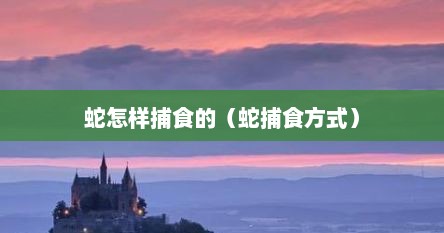 蛇怎样捕食的（蛇捕食方式）