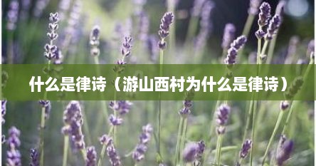 什么是律诗（游山西村为什么是律诗）