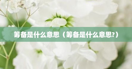 筹备是什么意思（筹备是什么意思?）