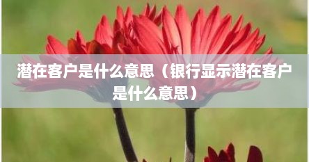 潜在客户是什么意思（银行显示潜在客户是什么意思）