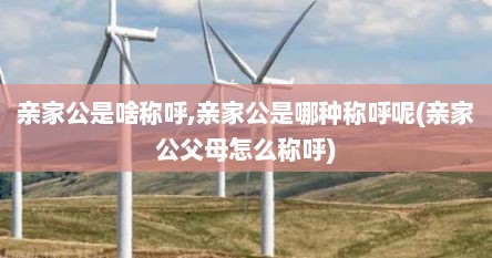 亲家公是啥称呼,亲家公是哪种称呼呢(亲家公父母怎么称呼)