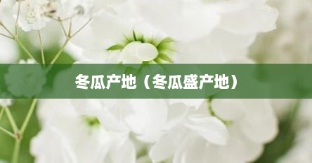 冬瓜产地（冬瓜盛产地）