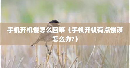 手机开机慢怎么回事（手机开机有点慢该怎么办?）