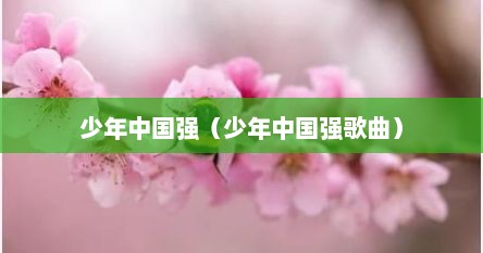 少年中国强（少年中国强歌曲）