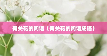 有关花的词语（有关花的词语成语）