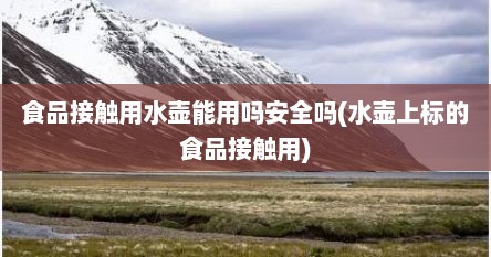 食品接触用水壶能用吗安全吗(水壶上标的食品接触用)
