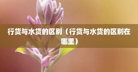 行货与水货的区别（行货与水货的区别在哪里）