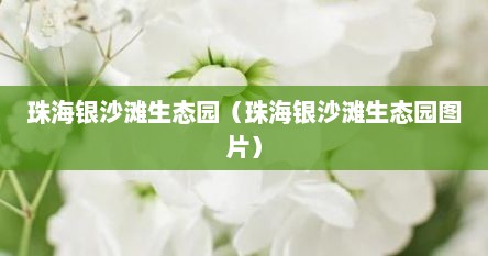 珠海银沙滩生态园（珠海银沙滩生态园图片）