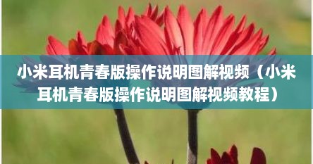 小米耳机青春版操作说明图解视频（小米耳机青春版操作说明图解视频教程）