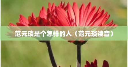 范元琰是个怎样的人（范元琰读音）