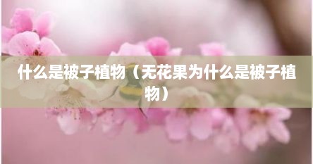 什么是被子植物（无花果为什么是被子植物）