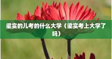 梁实的儿考的什么大学（梁实考上大学了吗）